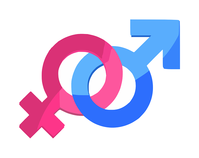 Gender Sex Symbol royalty-free vector graphic. (z.d.). Pixabay. https://pixabay.com/vectors/gender-sex-symbol-male-female-312411/